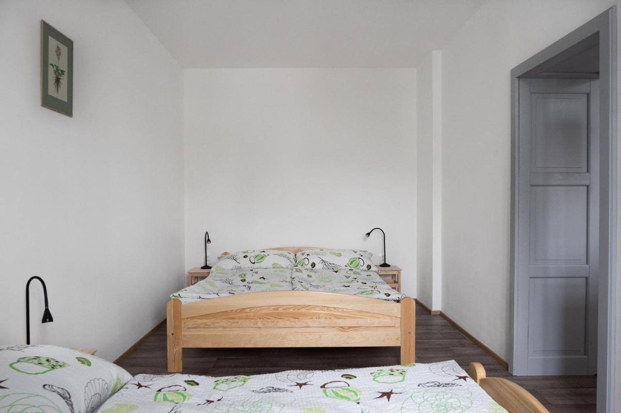 Apartmany16 Olesnice V Orlickych Horach Экстерьер фото
