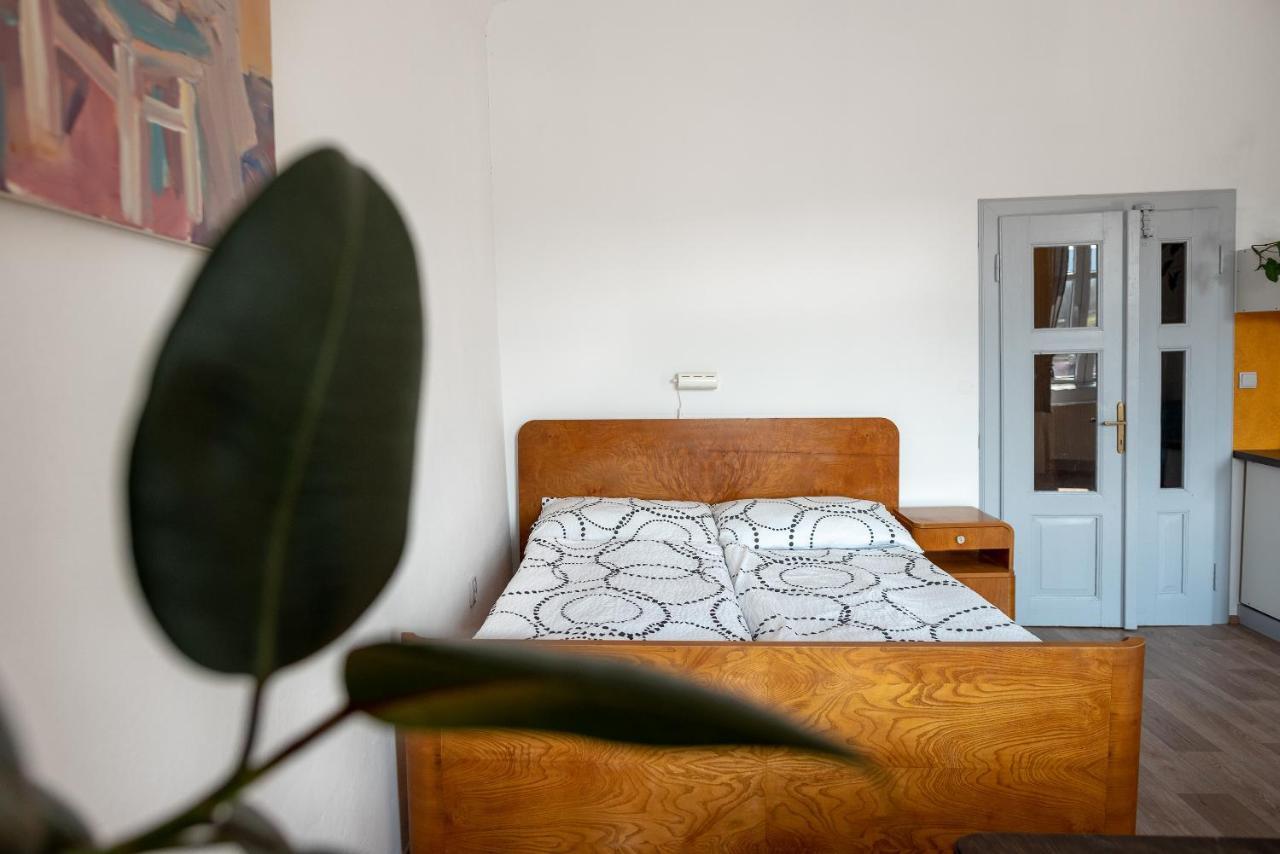 Apartmany16 Olesnice V Orlickych Horach Экстерьер фото
